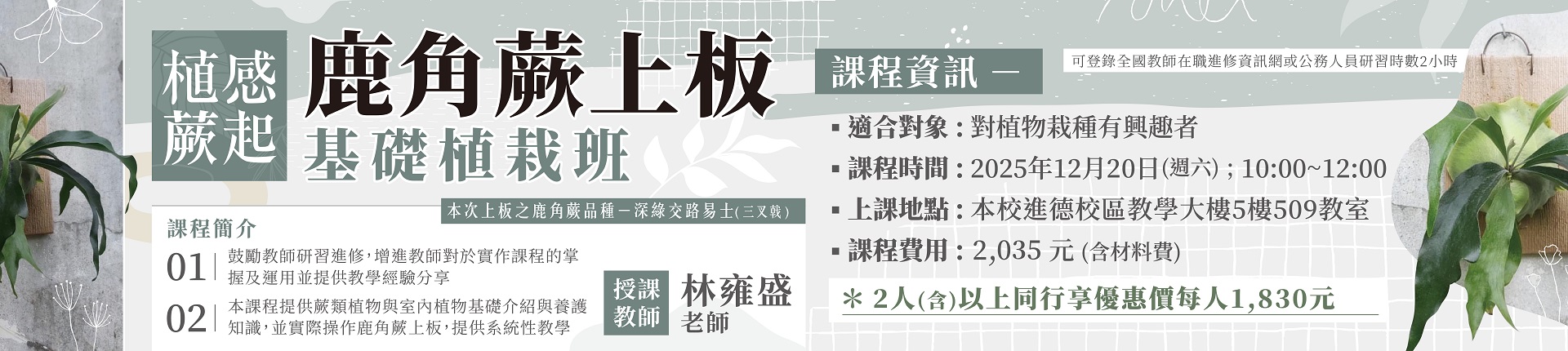 12/20鹿角蕨上板基礎植栽班